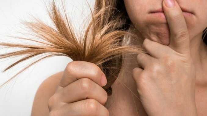 Was hilft gegen sprödes und glanzloses Haar?