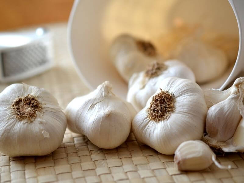Knoblauch - die Wunderknolle